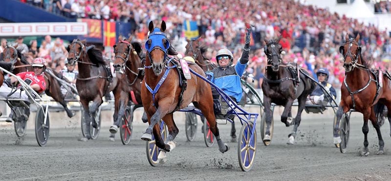Timoko
